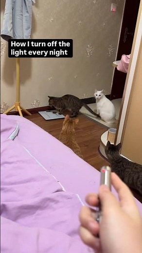 USING SPIRITUAL CREATURES TO TURN OFF THE LIGHTS