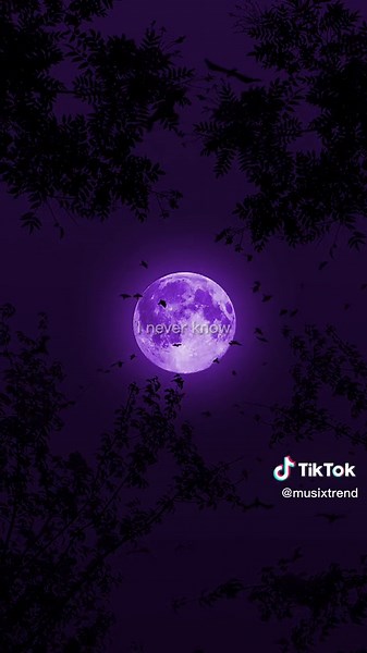 Aesthetic Audio Vibes for Your Videos