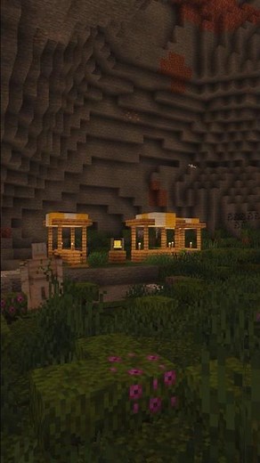 Minecraft UNDERGROUND Village Seed!