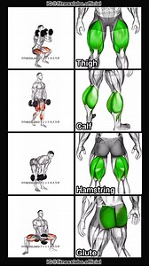 1.5M views · 29K reactions | ✅ Leg Workout using Dumbbells ① Overhead Squat ② Dumbbell Walk ③ Stiff Leg Deadlift ④ Wide Squat 3 sets 10 reps #fitness #gym #exercise #workout #workoutroutine #exercisetips #fitnesstips #bodybuilding #leg #legworkout #筋トレ | Fitnesslabo | Facebook