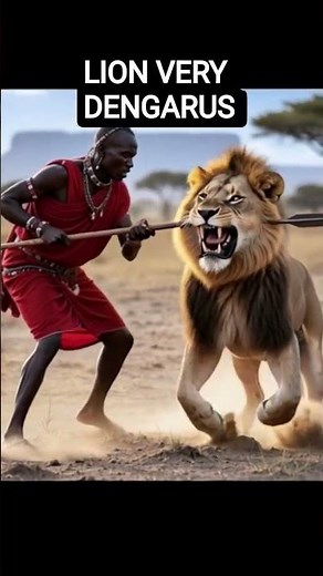 very dengarus Lion 🦁 vs human fight #LionLove #SafariMagic #LionsHug #AfricanSafari