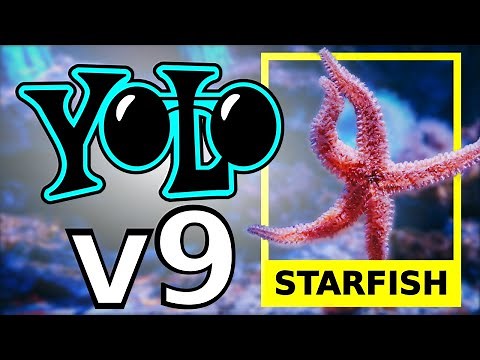 Train Yolov9 object detection custom data on Google Colab | Computer vision tutorial