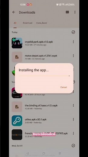 Cryptid Park Installation