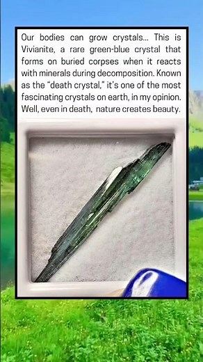 The stunning "de*th crystal" forms on buried corpses—a rare and fascinating transformation.