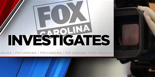 A cow shocked at beef-packing company