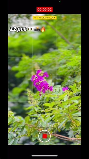প্রকৃতি ও ফটোগ্রাফির অপূর্ব মুহূর্ত