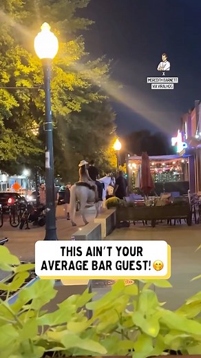 Bartender: “ID?” Horse: “Neigh” 🤣 | Dad Jokes