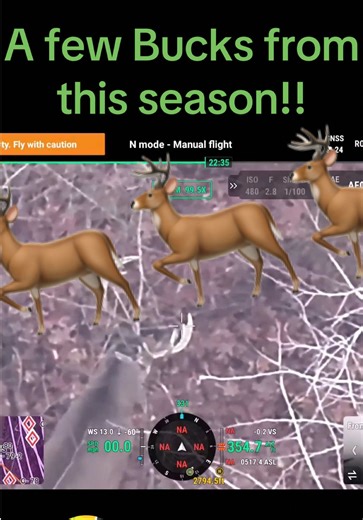 A look back at some of the Bucks from this past Drone Deer Survey season! 🦌🦌🦌. We have seen a lot of good deer this year. #dronedeersurvey #thermaldrone #deerhunting #dji #fyp