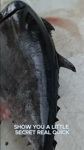 Full Blackfin Tuna Cleaning w/ Secret Tip for Gutting