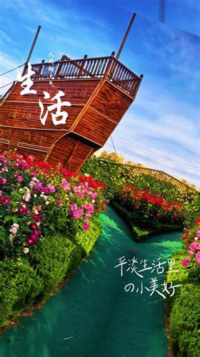 80后的我，不知不觉喜欢上了逛公园看花开了，有多少和我一样的呢