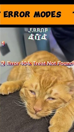 Top 5 cat error modes (error 404) #cat #error