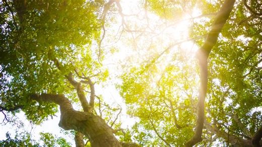 3K views · 70 reactions | Introducing our new processing technology...