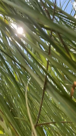 28K views · 1.6K reactions |  Public lands belong to the people, not...