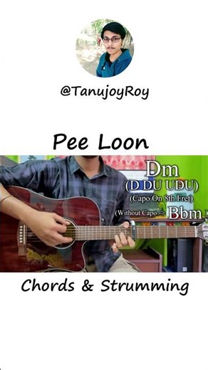 Pee Loon | Once Upon A Time in Mumbai Easy Guitar #yt #tanujoyroy #guitar #shorts #short #shortvideo