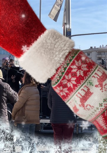 hampton sc on TikTok