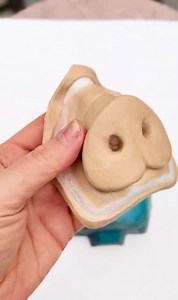 Pig Nose Prosthetic, Encapsulated Silicone Appliance - Etsy