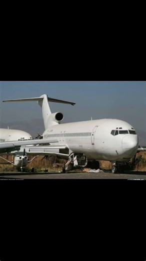 The Boeing 727 #ihavethisthingwithplants