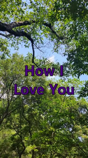 ○ How I Love You - Engelbert Humperdinck ○ #Old Song #Music #7080 #pop #추억의팝송