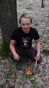 Mleczajowiec smaczny (Lactifluus volemus) - grzyb jadalny #grzyby #natura | Źródła Natury - według Chmielewskiego