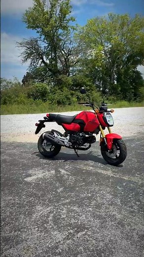 Test Ride the NEW 2026 Honda Grom 125 at Southern Honda Powersports! #honda #grom #minimoto #bike