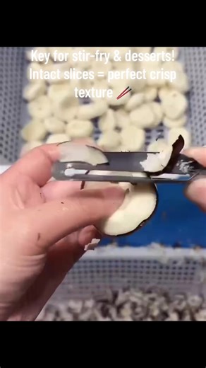 Key for stir-fry & desserts! Intact slices = perfect crisp texture 🥢#waterchestnut #crispcut #foodprep #kitchenknife #fyp
