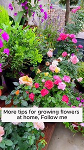 3.6K views · 35 reactions | Five types of irrigation water you must know #gardening #gardentools #gardeningtools #tool #tools #gardeningmakemehappy #handtools #cooltools #satisfying #gardeners #gardeninspiration #gardening #trees #tree #treesofinstagram #treestreestrees #treestagram #gardeningtips | Gardening Ideas | Facebook