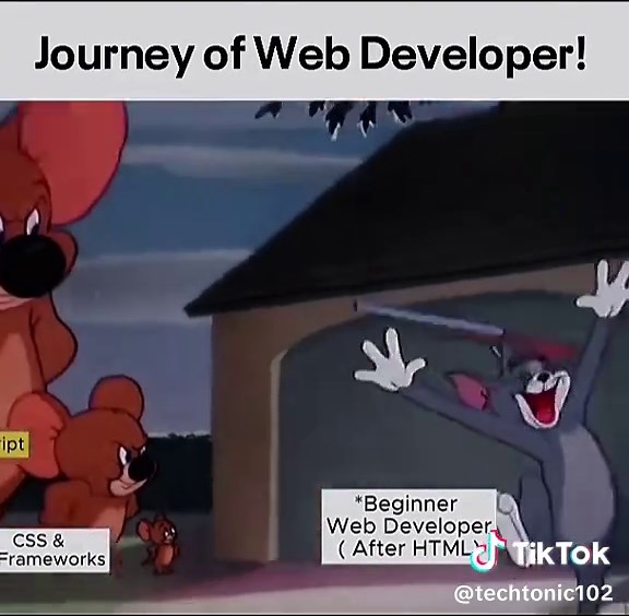 Web Developer Journey: A Humorous Take on Coding