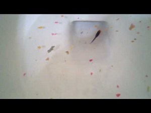 Flushing Live Fish Down Toilet!!