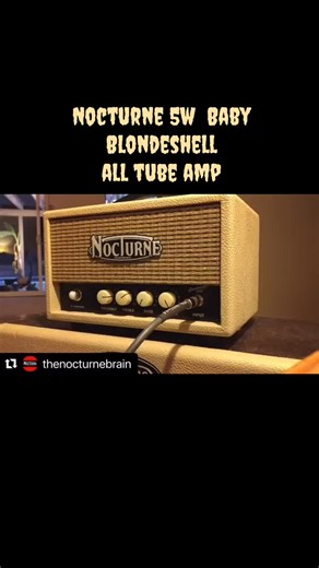 throwback friday - all tube 63’ blonde 6G6-B preamp w class A pwr section The Baby Blondeshell. #surfislife #surfguitar #lifeissurf #corelord #kookpatrol | The Nocturne Brain