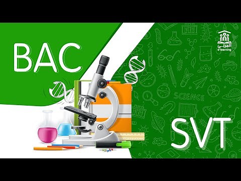 La fonction reproductrice masculine Partie 1 | SVT Bac sciences Tunisie