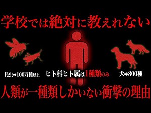 Regarding the fact that the creature called "human" is too abnormal