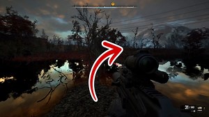 The Last Wish Walkthrough