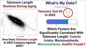 Telomere Length Test #5 in 2023: Which Dietary Factors Are Significantly Correlated? – Lifeboat News: The Blog