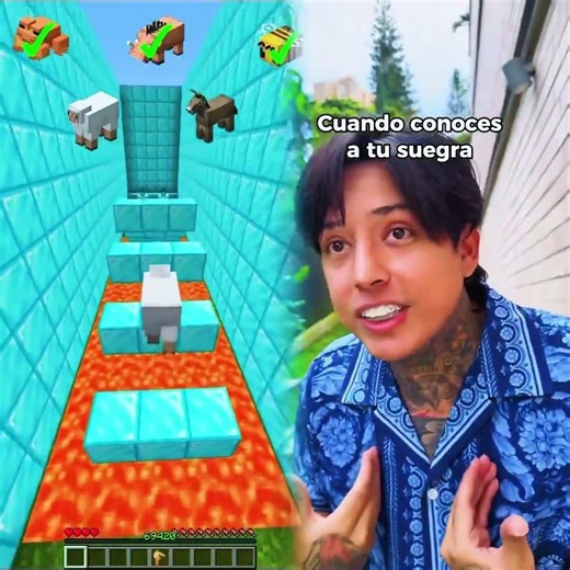 My dog ​​Luna is lost, I can't find her