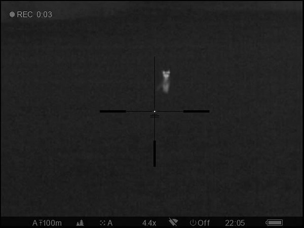 wild bird protection