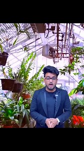 No Forests in Kuwait?! 🌵🇰🇼 #desertfacts #KuwaitFacts 🇰🇼 #NoForests #DesertLife 🌵 #MiddleEastNature #GulfGeography #ClimateFacts #EnvironmentalAwareness #FunGeography #ArabianDesert #GreenKuwait 🌱 | Reshad