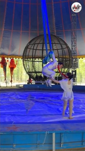 🫣Tow Couples Unbelievable Circus Show 🎪/#shorts #shortsfeed #trendingshorts #viralvideos #circus
