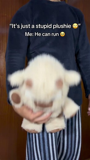 It's not a normal plushie, Runny when shaking it comes to life and starts running 😍 #unitedstates