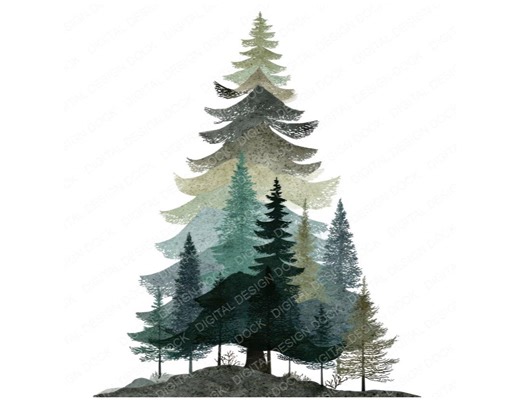 12x Minimal Pine Tree Clipart PNG, Forest Tree Clip Art, Printable Watercolor Clip Art, Transparent Background, Digital Papers, Junk Journal - Etsy
