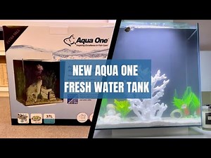 New Fresh Water Fish Tank Set Up | Aqua One Platform 37