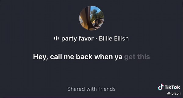 Party Favor - Billie Eilish #fyp#song#lyrics#voicemail