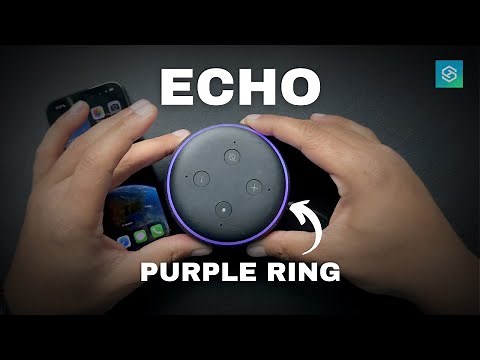 Alexa Echo with Purple Ring Light (What it Means & How to Fix)