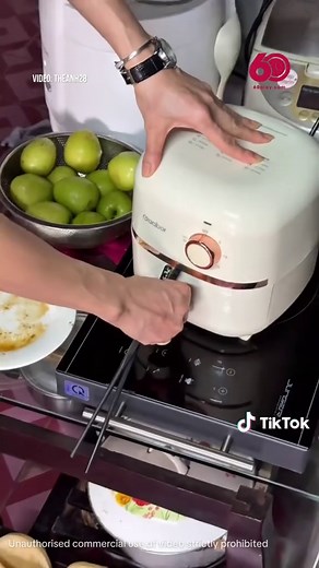 Review Nồi Chiên Không Dầu Gaabor 2L Xịn Xò