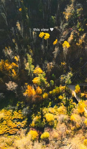 54K views · 1K reactions |  Fall in Spearfish Canyon is pure magic — golden leaves, crisp air, and cozy moments at the Lodge. Your perfect autumn getaway starts here.  . . . #SpearfishCanyonLodge #BlackHillsAdventures #ExploreTheHills #SpearfishCanyon #MountainGetaway #NatureInTheBlackHills #SouthDakotaViews #CanyonEscape #BlackHillsRetreat #ScenicGetaway #OutdoorAdventure #RelaxInNature #HiddenGemSD | Spearfish Canyon Lodge | Facebook