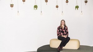 Codan smider alle revisorkunder på porten: For svært at tjene penge, da “revisoransvar er et højrisikoområde”