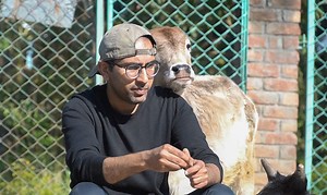 Why I Kill Snails. | elephant journal