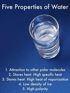 Properties of water - Alchetron, The Free Social Encyclopedia