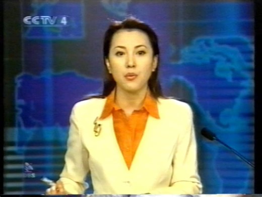 央视国际频道2002年中国新闻