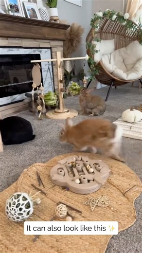 Rexbunns on Instagram: "Bonding rabbits can be so stressful, discouraging, and down right aweful. It doesn’t always have to look like a small pen covered in hay and forcing them to be friends. I used a completely different method and successfully bonded 7 of my 8 rabbits. I would set up my living room like you see here in the videos with lots of exploration and foraging type activities. Keeping them busy on the different centers instead of each other was the goal. If you force them to be in a sm