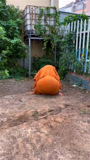 BauBau Fun | It’s over, it’s over… I can’t hear it anymore!🤣🤣🤣#funnybears #funny #funnyvideos #funnyvideo #commedy #commedyvideo #justforfun... | Instagram